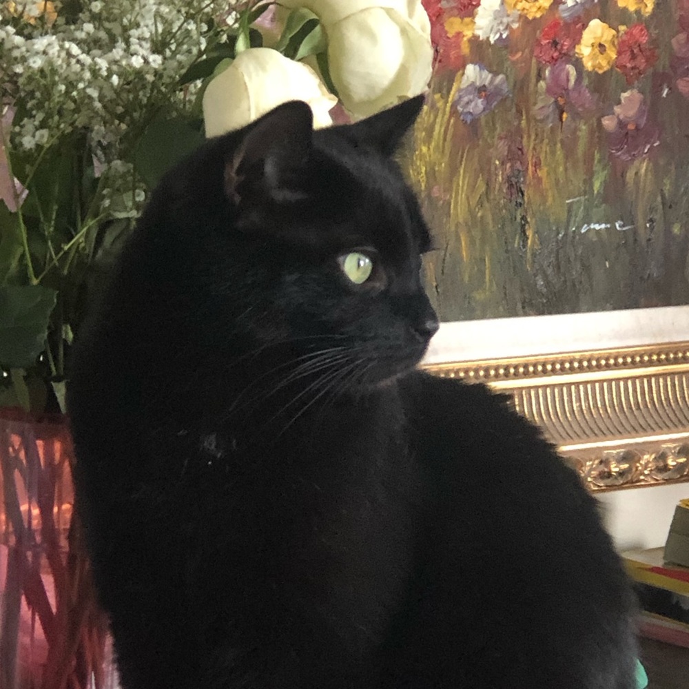 Meet your Posher, Cindy